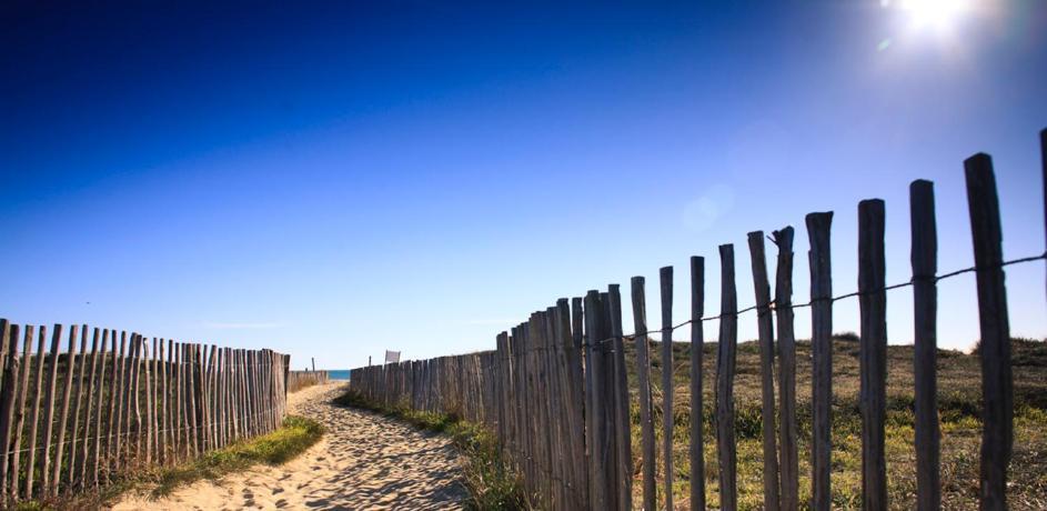 L'Escale Catalane, 50m de la plage, 36m2, parking Canet-en-Roussillon Extérieur photo